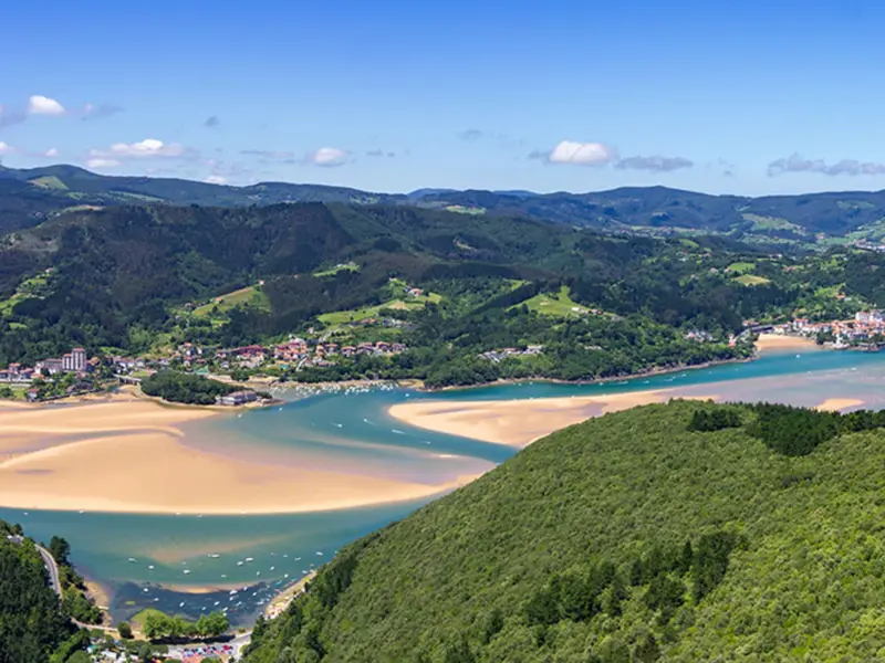 Bizi Natura lleva la vida salvaje de Urdaibai a la televisión en directo