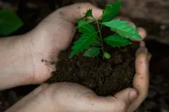 La restauración de ecosistemas, clave para enfrentar la crisis climática en España