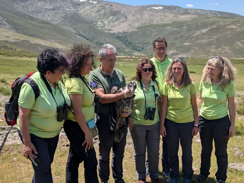 La reintroducción del quebrantahuesos suma tres nuevas aves en la Sierra de Gredos