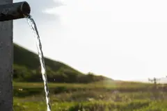 Empresas ecológicas de Cádiz promueven certificación del agua para expandir mercados