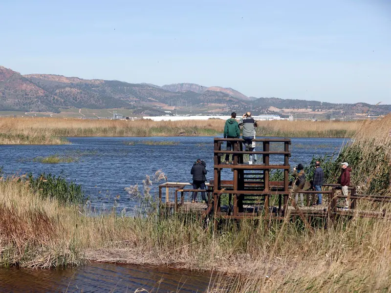 El proyecto LIFE Wetlands4Climate destaca en la lucha contra el cambio climático