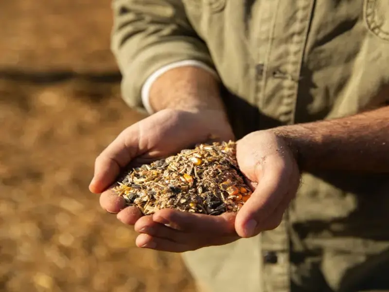 Proyecto europeo transforma residuos agroalimentarios en cerveza y alimentos sostenibles