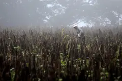 La OMM advierte sobre un posible episodio fuerte de El Niño