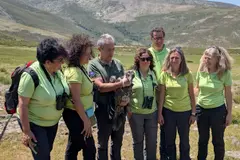La reintroducción del quebrantahuesos suma tres nuevas aves en la Sierra de Gredos