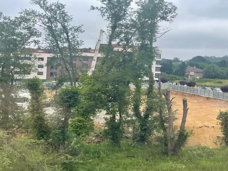 La tala amenaza los últimos árboles en la ribera del río Severies en Asturias