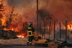 Los incendios forestales de 2026 superan la devastación de 2025 en España