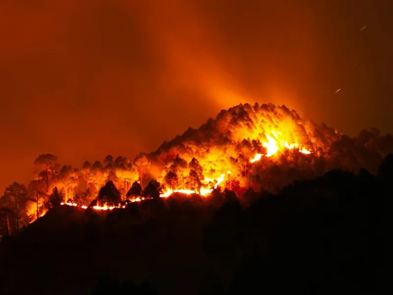 Europa prioriza la prevención de incendios forestales ante el desafío climático