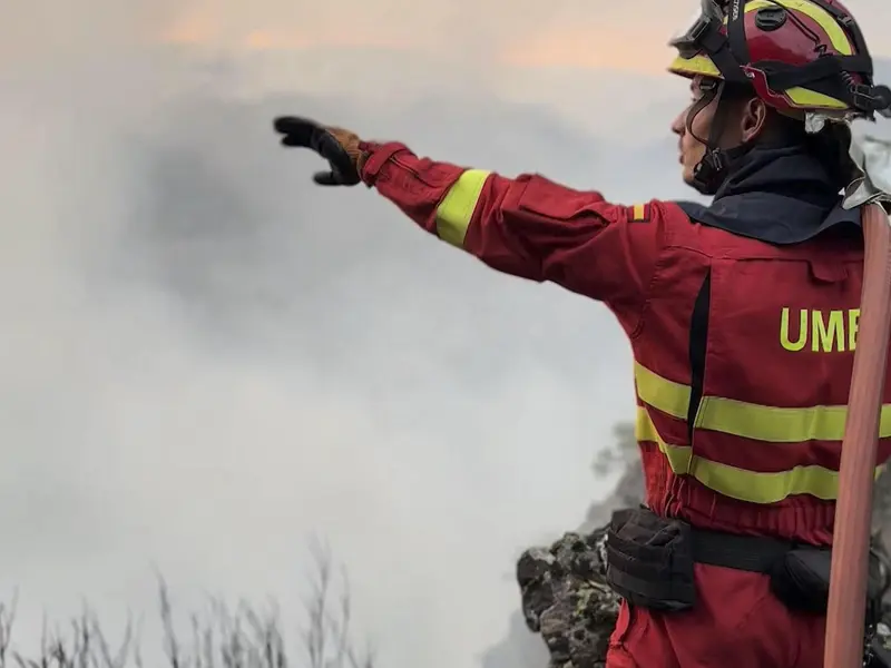 Incendios forestales en España: preocupaciones a un año del récord histórico
