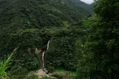 Ecuador identifica 62 especies de escarabajos clave para la Amazonía