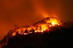 Europa prioriza la prevención de incendios forestales ante el desafío climático