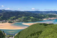 Bizi Natura lleva la vida salvaje de Urdaibai a la televisión en directo