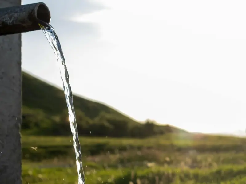 Empresas ecológicas de Cádiz promueven certificación del agua para expandir mercados