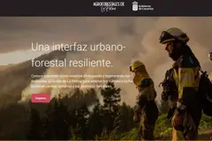 Curso online sobre estrategias agroforestales para la resiliencia en La Palma