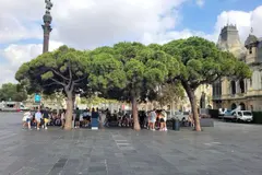 La interrelación entre naturaleza y turismo de manera sostenible