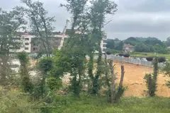 La tala amenaza los últimos árboles en la ribera del río Severies en Asturias