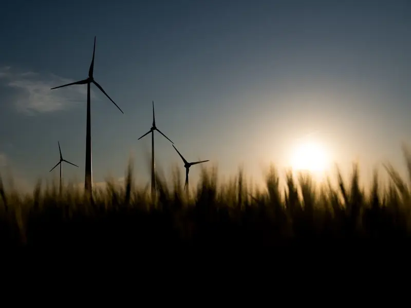 La transición ecológica en España: un enfoque social y práctico en 2026