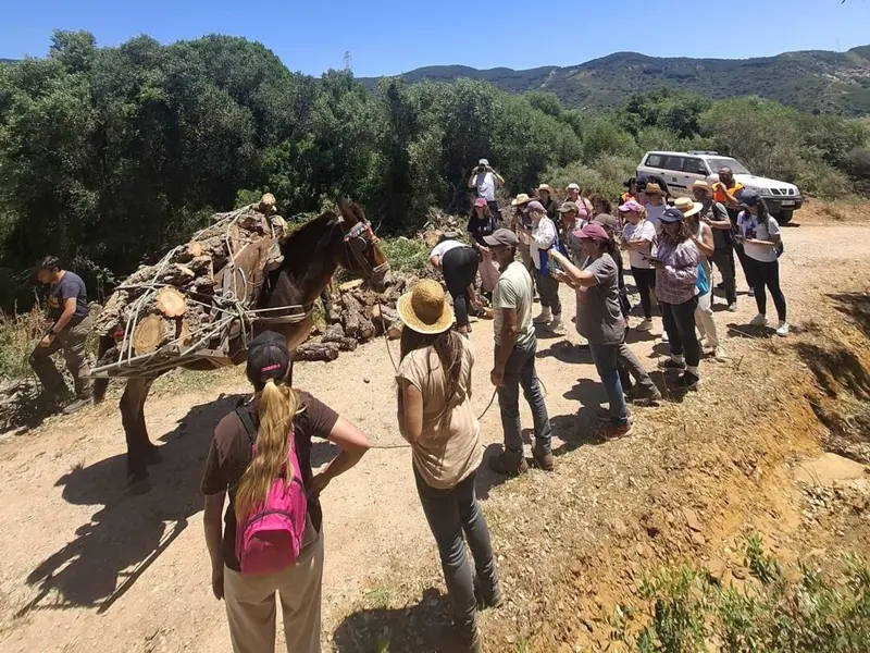 Éxito de las jornadas sobre ganadería extensiva y sostenibilidad en La Teja y Cucarrete