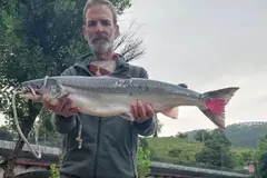 Inauguración de la temporada del salmón en Cantabria con el campanu del Nansa