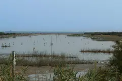 Aprobada la restauración del río Guadiamar para proteger Doñana