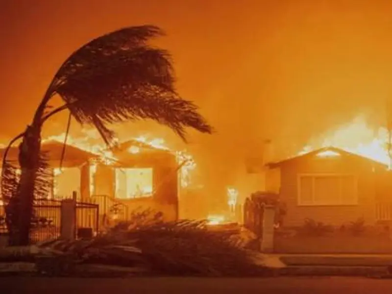 Los incendios forestales devastan zonas ricas según estudio de 2025